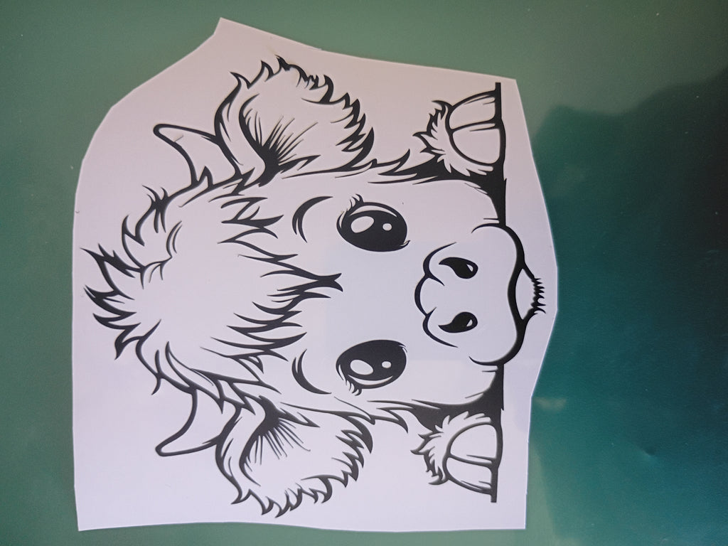 Transform Your Ride with Custom Car Decals
