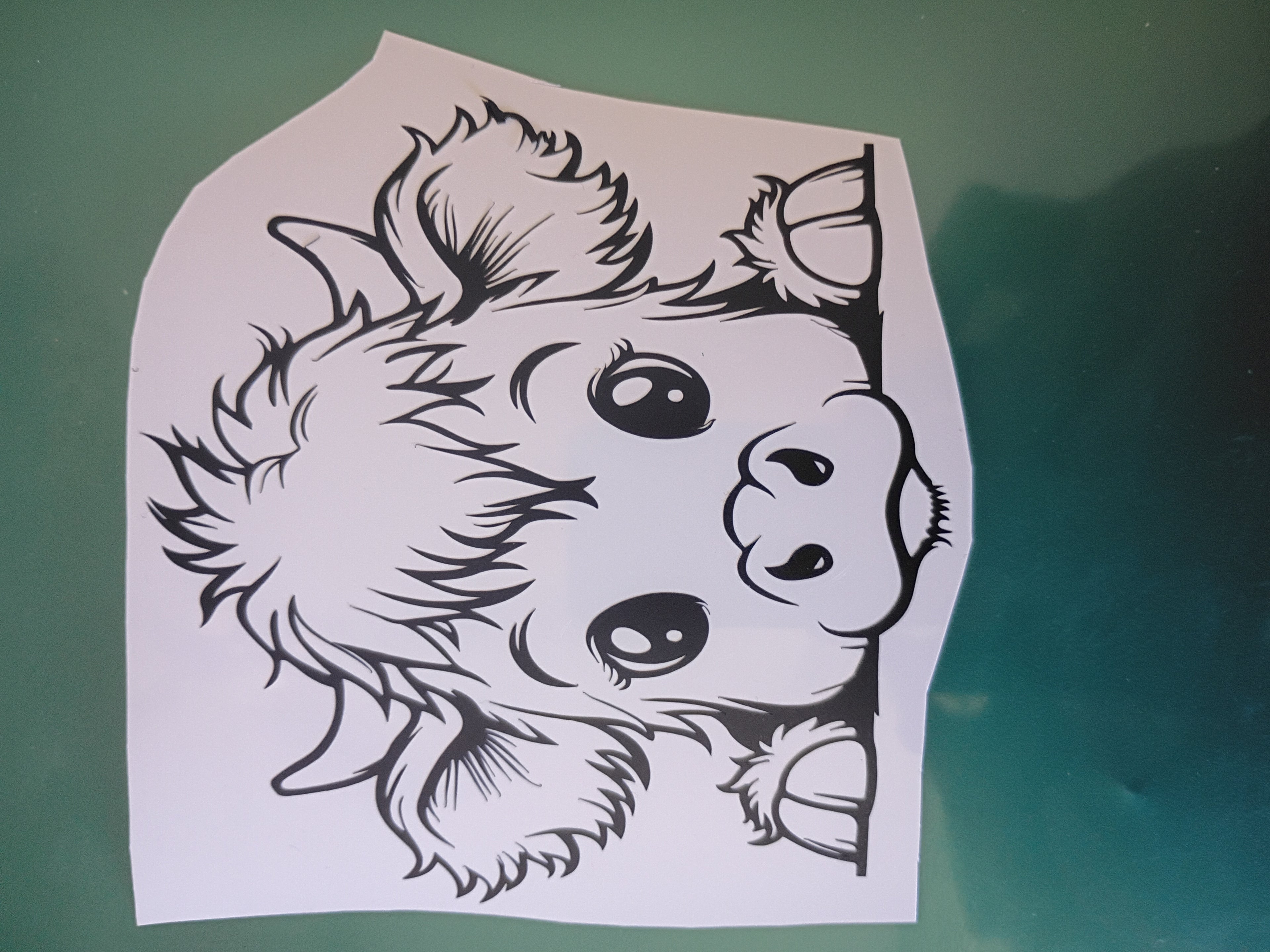 Transform Your Ride with Custom Car Decals